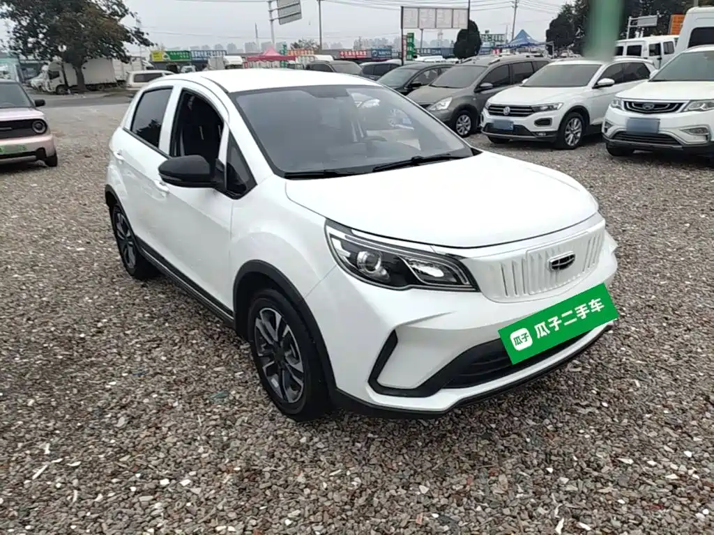 Geely Geometry EX3 Kung Fu Bull 2022 2021 Strong Bull