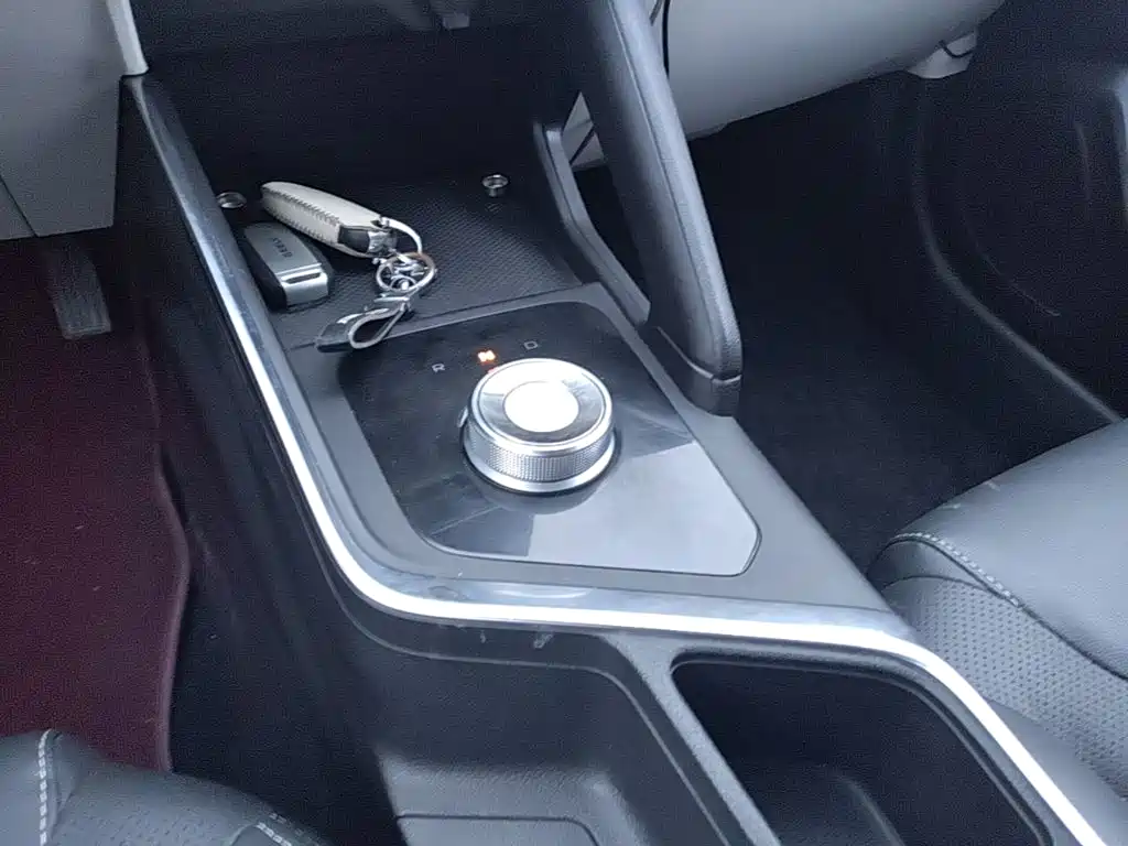 Geely Geometry EX3 Kung Fu Bull 2022 2021 Strong Bull