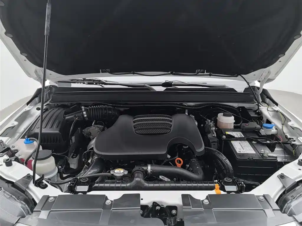 GREAT WALL FENGJUN 7