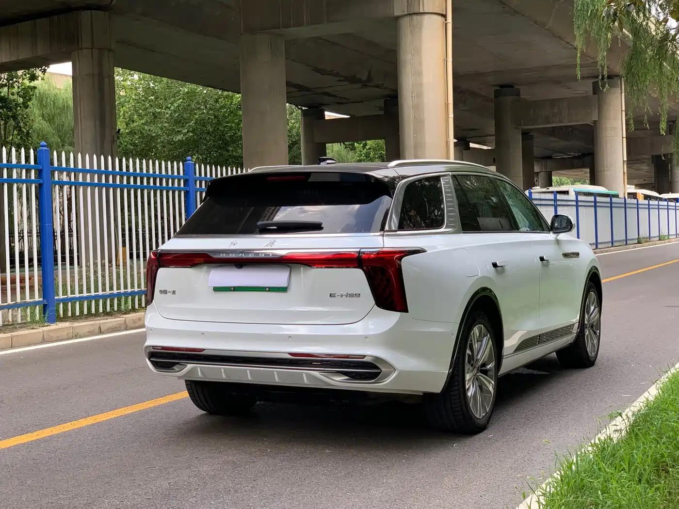 Hongqi E-HS9 2023 2022 690km Qi Xiang Edition (6-seater)