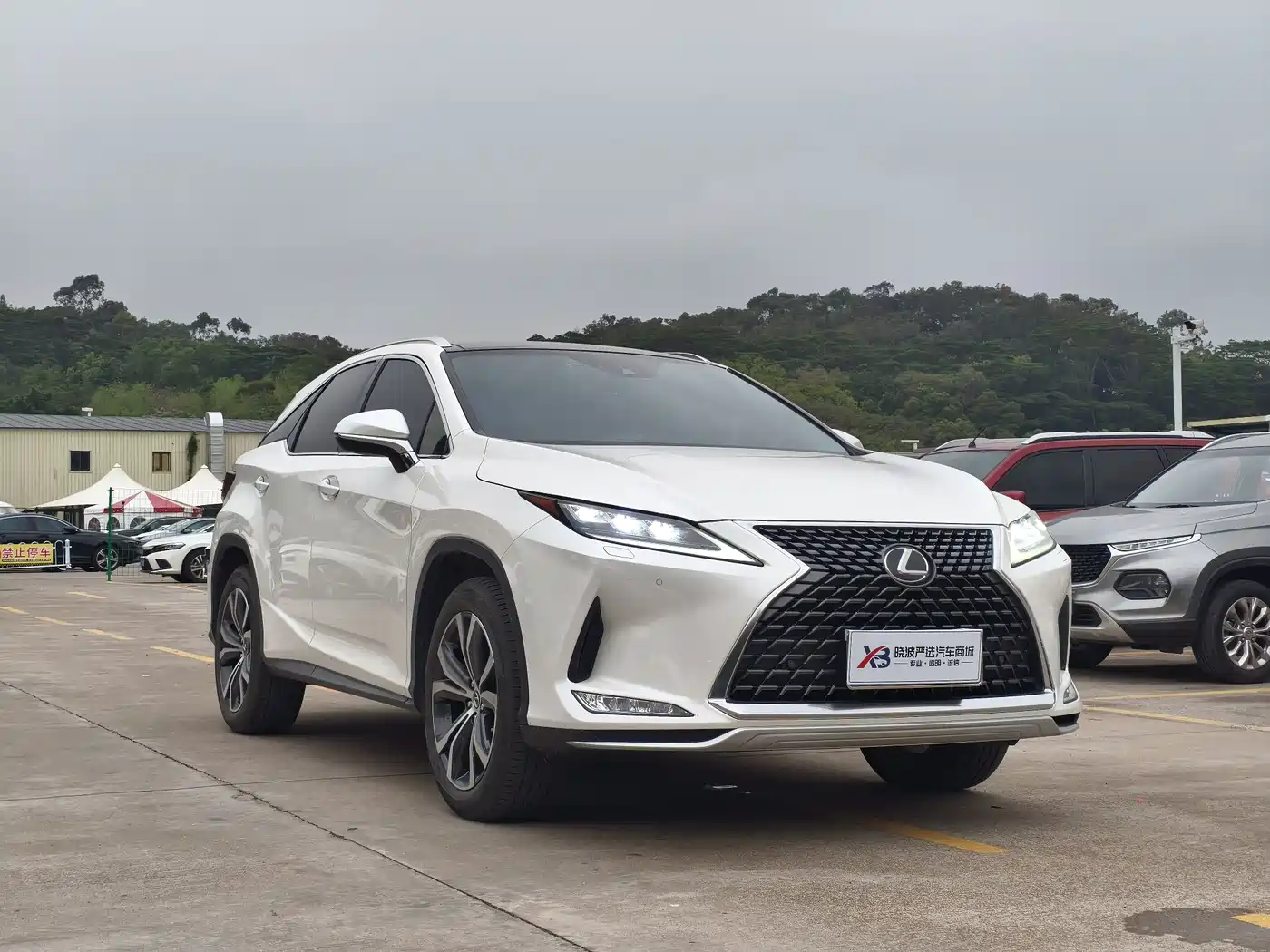 LEXUS RX
