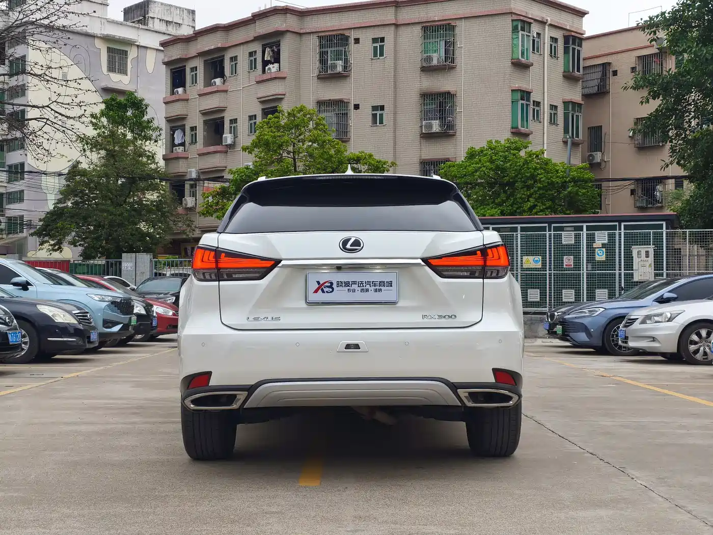 LEXUS RX