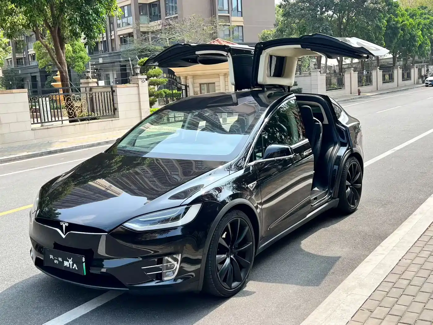TESLA MODEL X