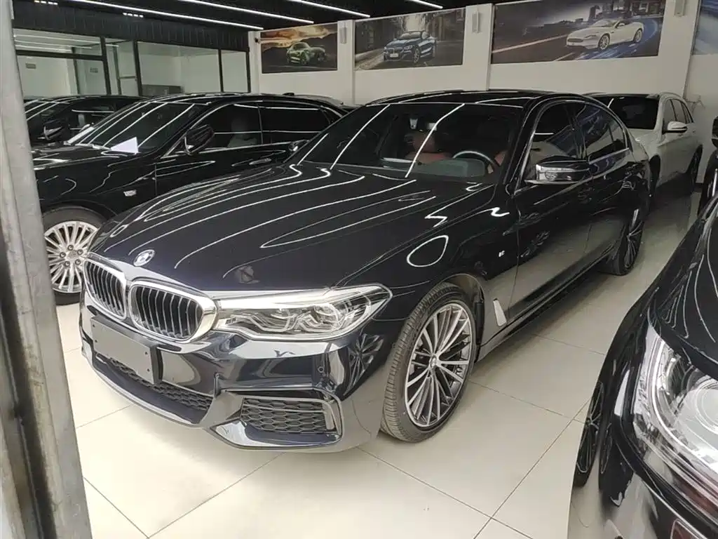 BMW 5 Series 2020 530Li Leading M Sport Package