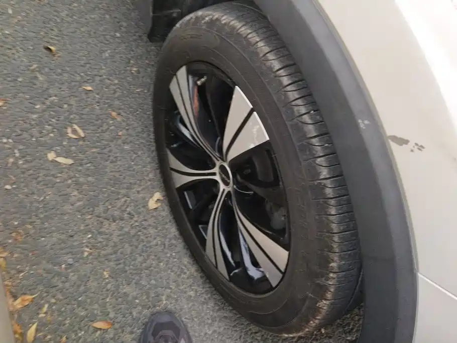 Фото 6 - Roewe RX5
