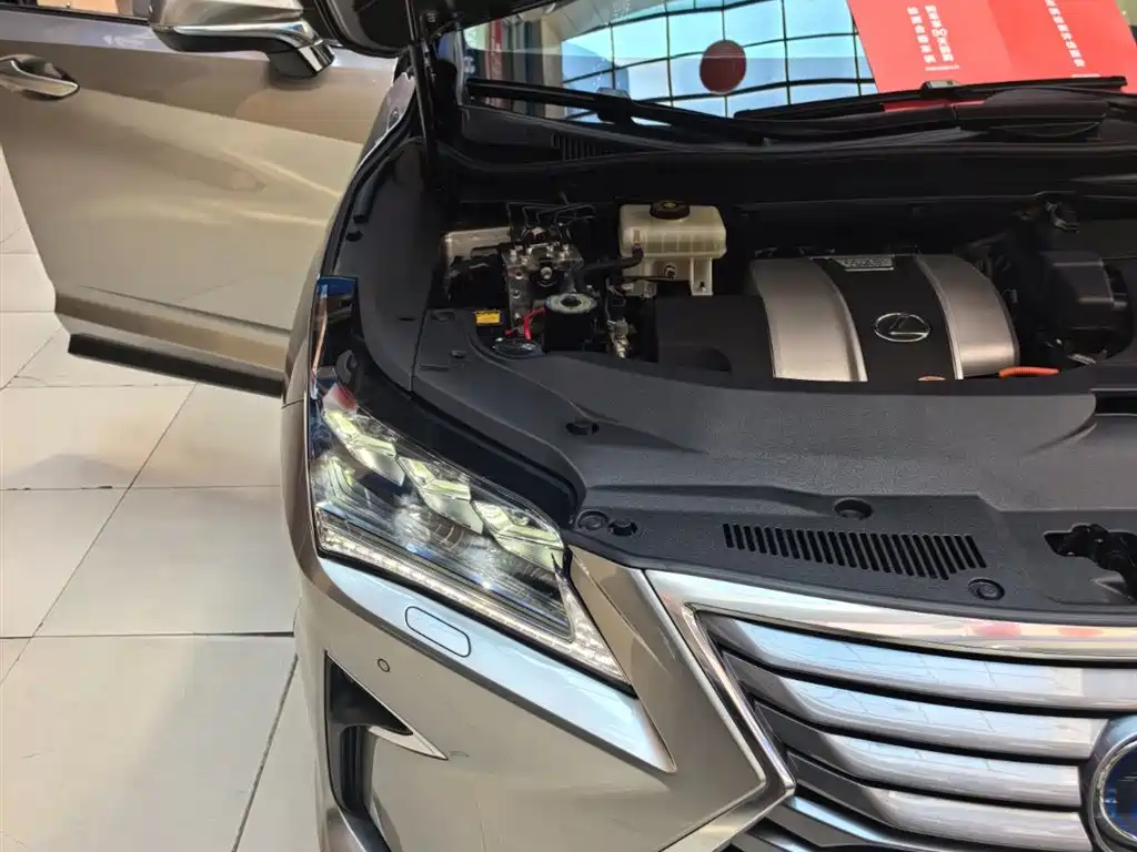 Фото 25 - Lexus RX