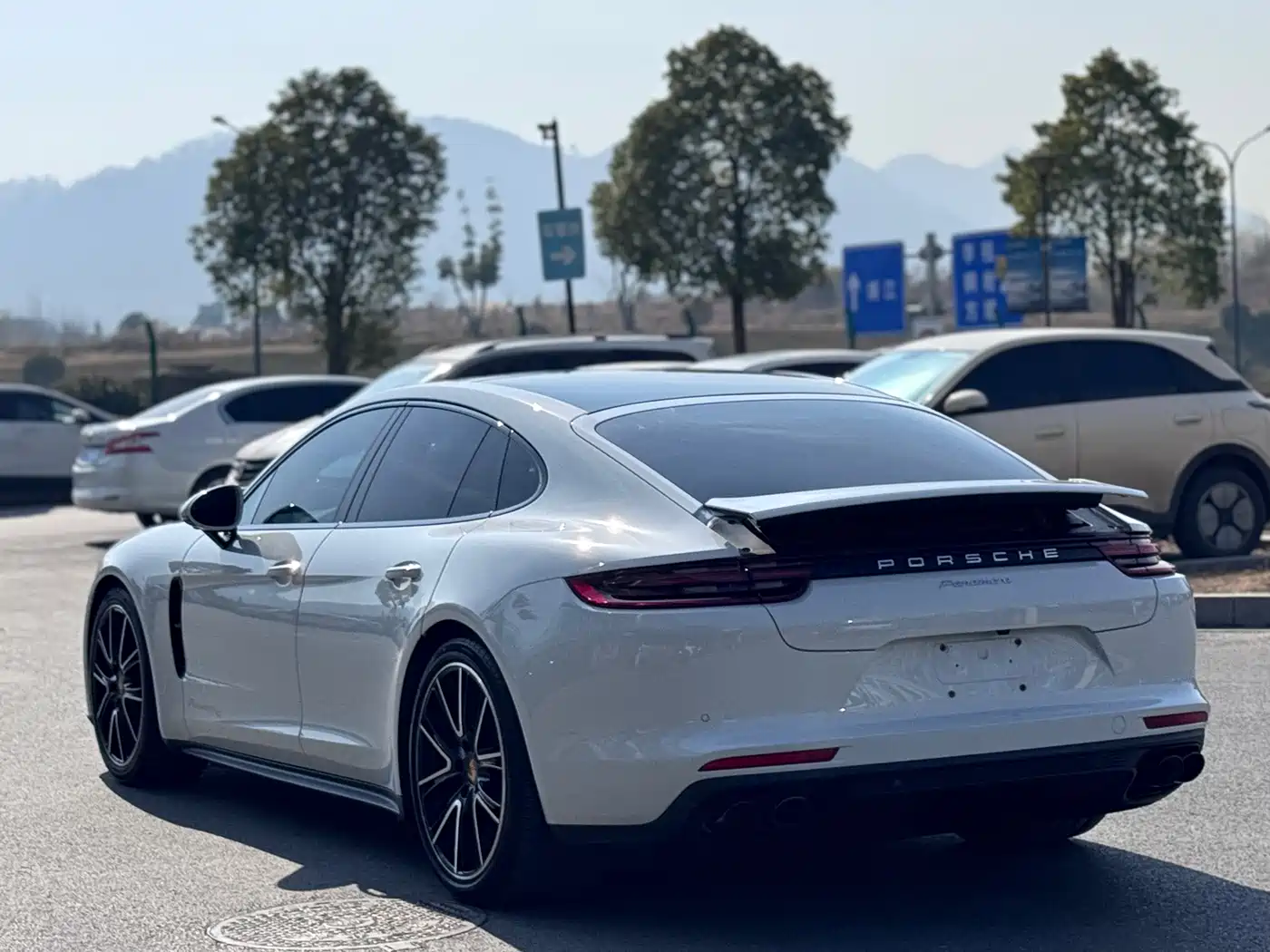 Porsche Panamera 2020 Panamera 10th Anniversary Edition 2.9T фото 4