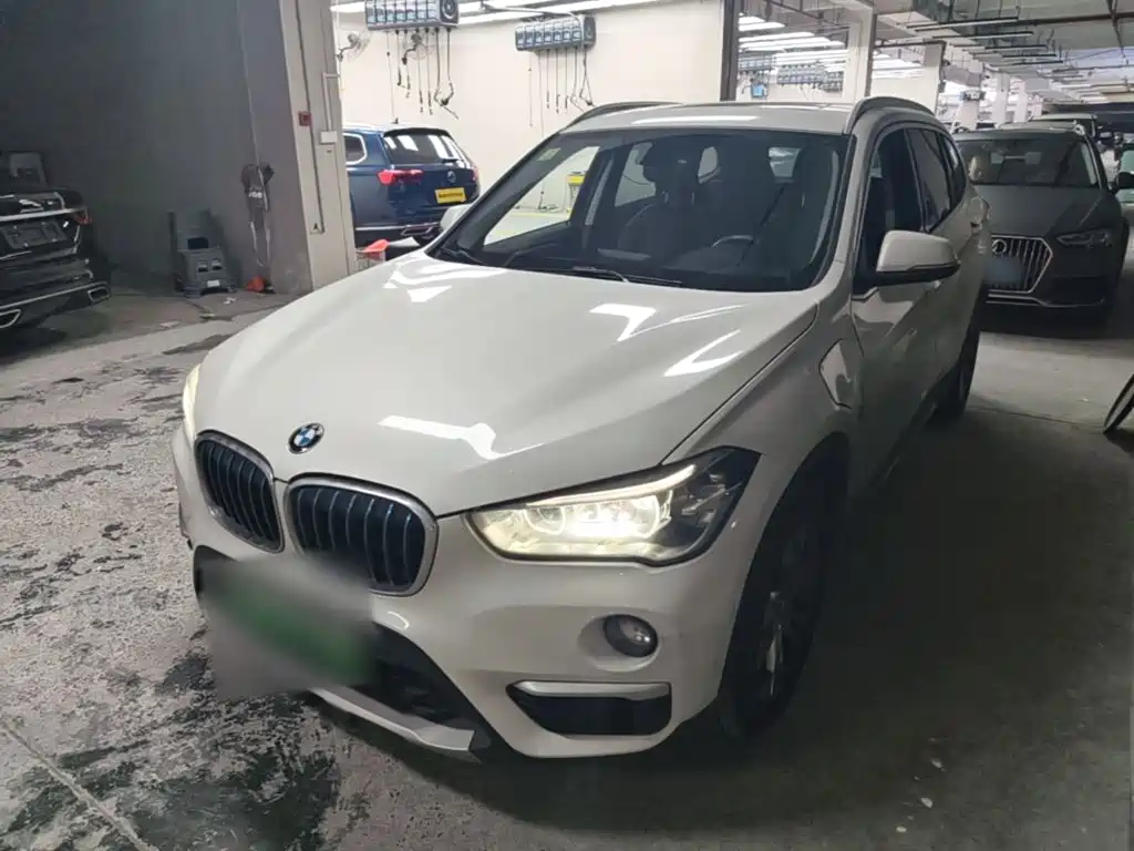BMW X1 New Energy 2019 2019 xDrive25Le Range Upgrade Edition