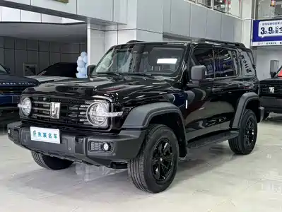 Tank 300