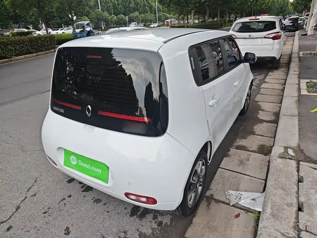 Ora White Cat 2021 2020 305km Luxury