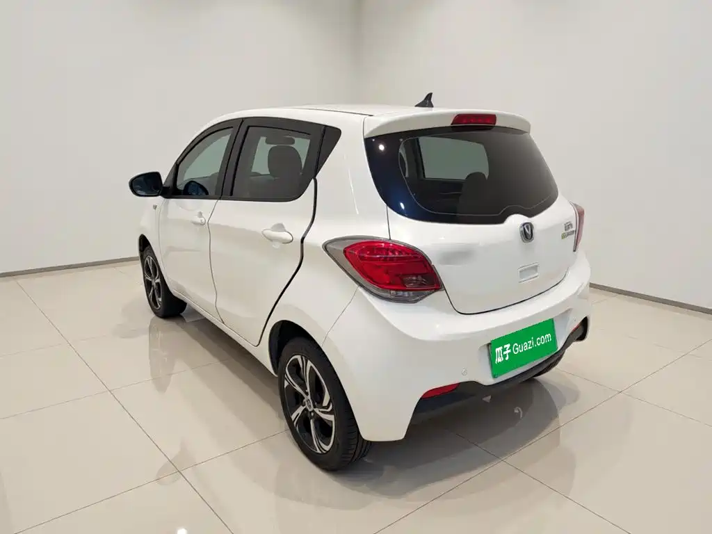 Changan Benben E-Star 2021 2020 Heartbeat Edition (NMC Battery)