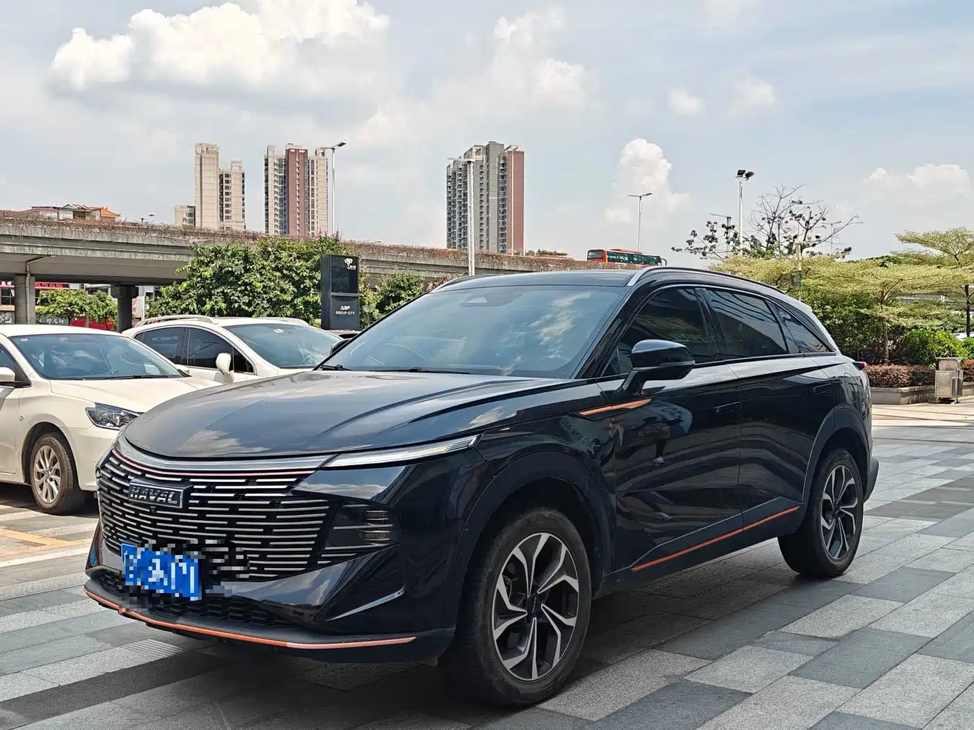 Haval Shenshou 2022 2022 1.5T Smart Enjoyment Edition