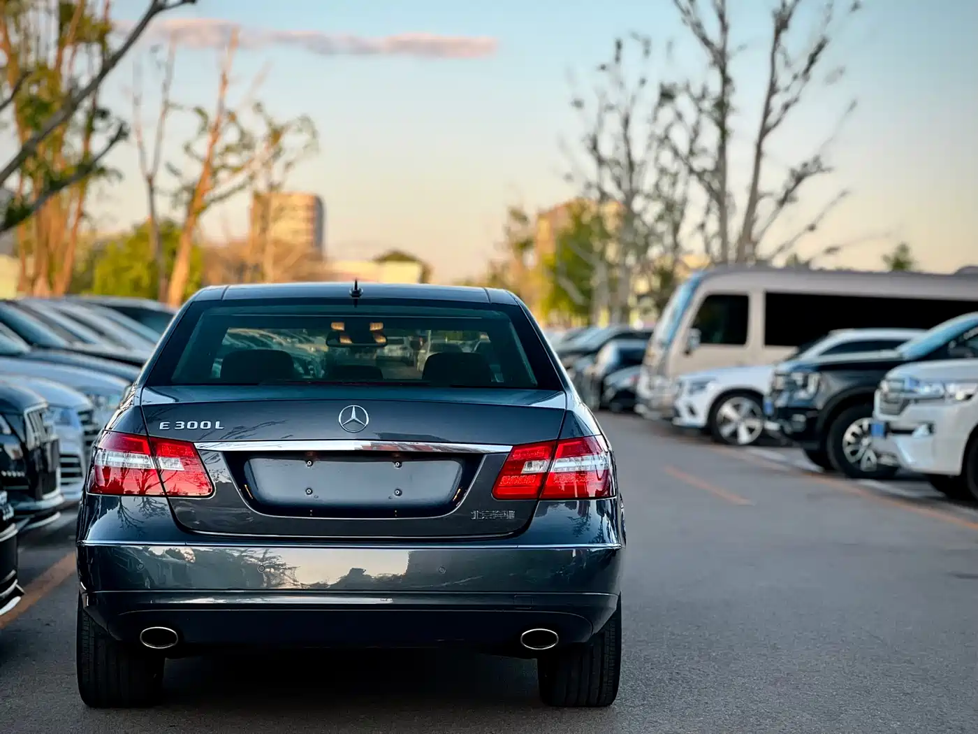 Mercedes-Benz E-Class 2010 E 300 L Fashion фото 7