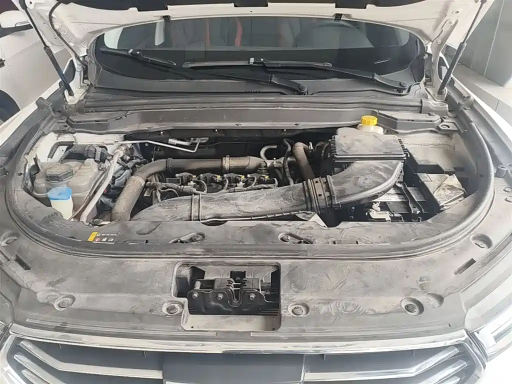 Haval H4 2019 2020 Model Joy Edition 1.5T DCT
