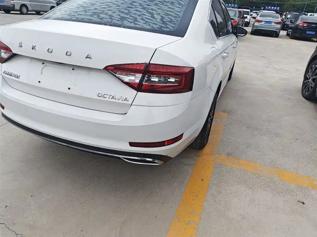 Škoda Octavia 2019 1.5L Automatic Smart Luxury China VI фото 8