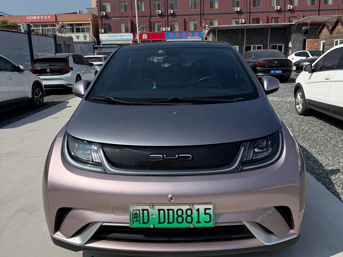 Фото 2 - BYD Dolphin