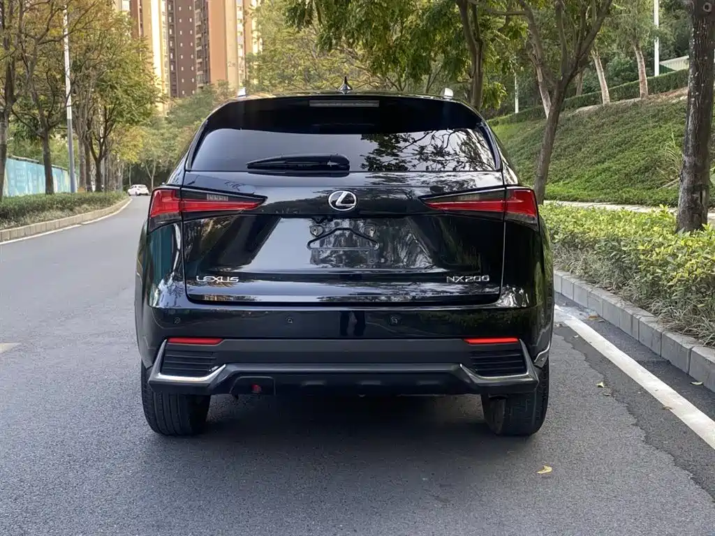 Lexus NX 2018 Model 200 FWD Fengxing Edition China V фото 5
