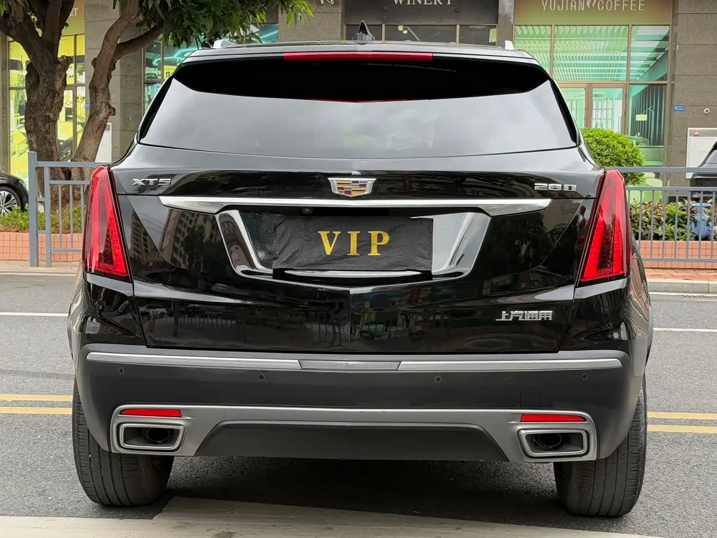 Cadillac XT5 2021 2.0T 2WD Luxury Edition фото 4