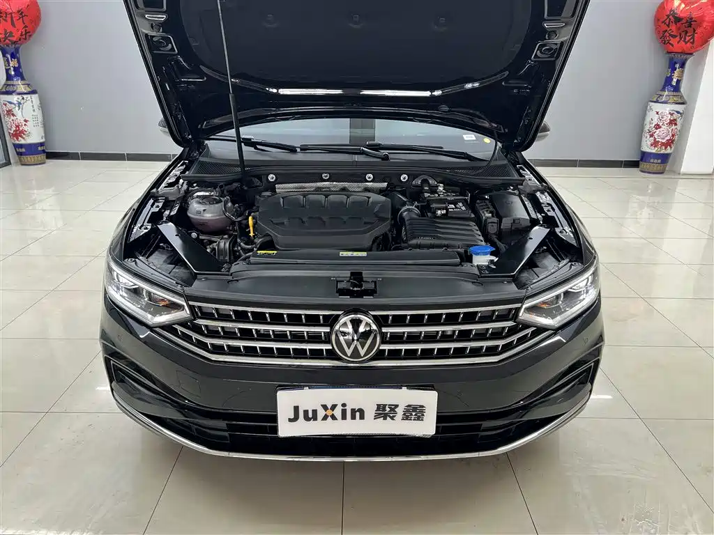 Volkswagen Magotan 2026 Model 30 Million Special Selection 380TSI DSG Luxury фото 17