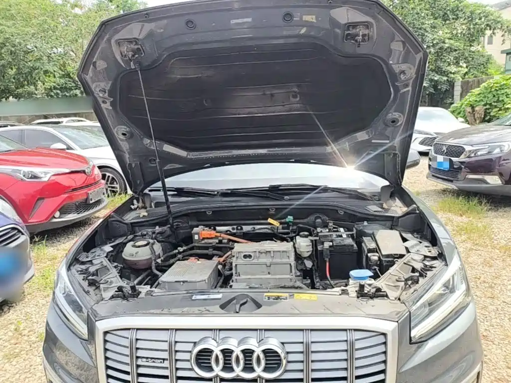 Audi Q2L e-tron 2021 2019 Q2L e-tron Pure Electric Smart Enjoyment