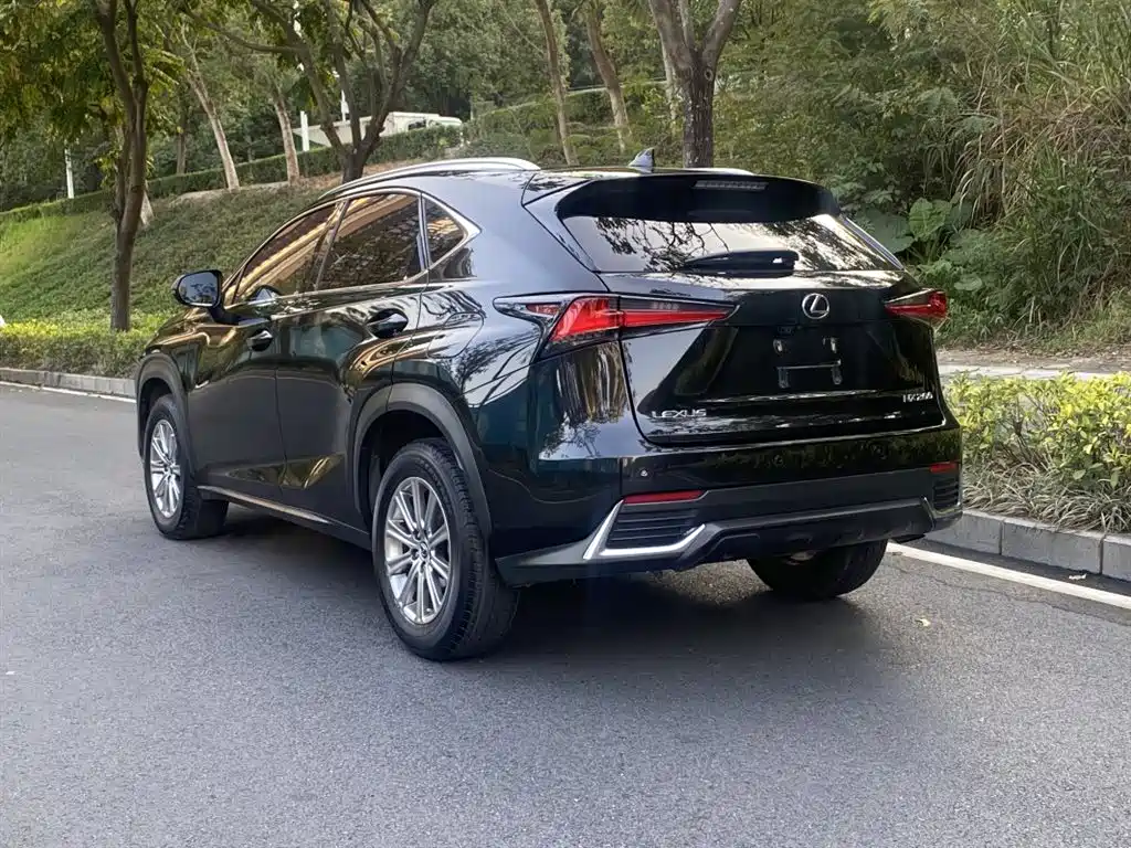 Lexus NX 2018 Model 200 FWD Fengxing Edition China V фото 6