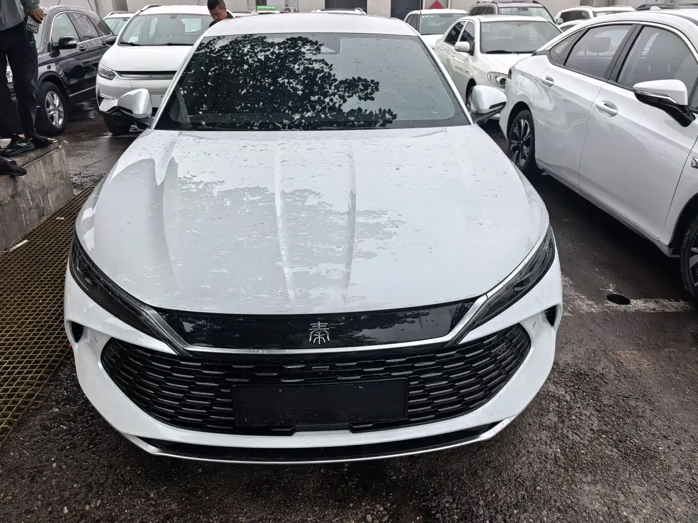 BYD Qin L 2025 DM-i Smart Drive Edition 80KM Leading фото 2