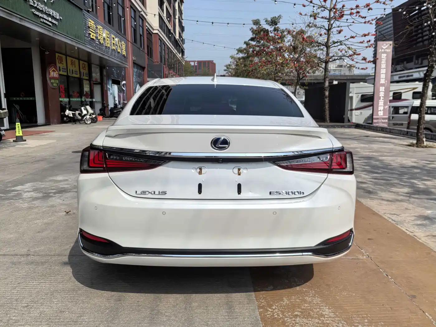 Lexus ES 2020 Model 300h Excellence Edition фото 10