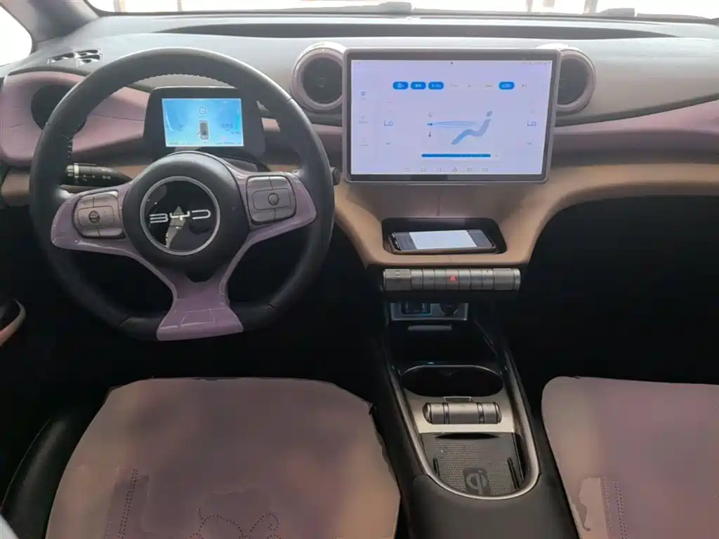 BYD Dolphin 2023 420km Fashion Edition фото 10