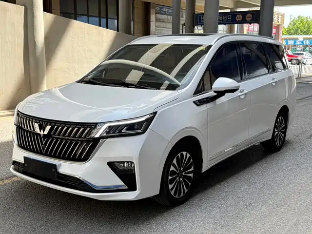  Wuling Motors Wuling Jiachen 2022 1.5T CVT Exclusive Flagship Model