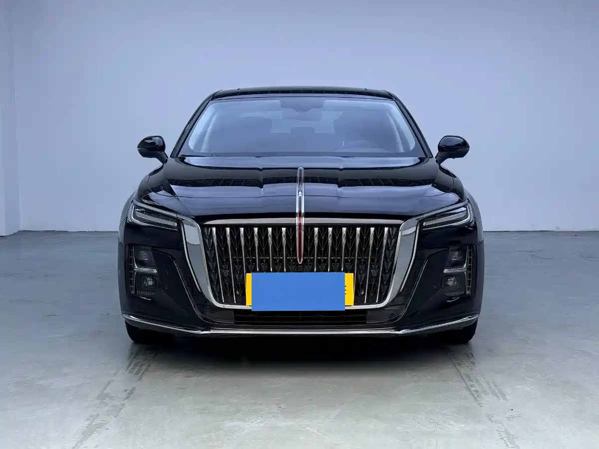 Hongqi H5 2025 1.5T DCT Flag Rhythm 500,000 Units Memorial Edition фото 2