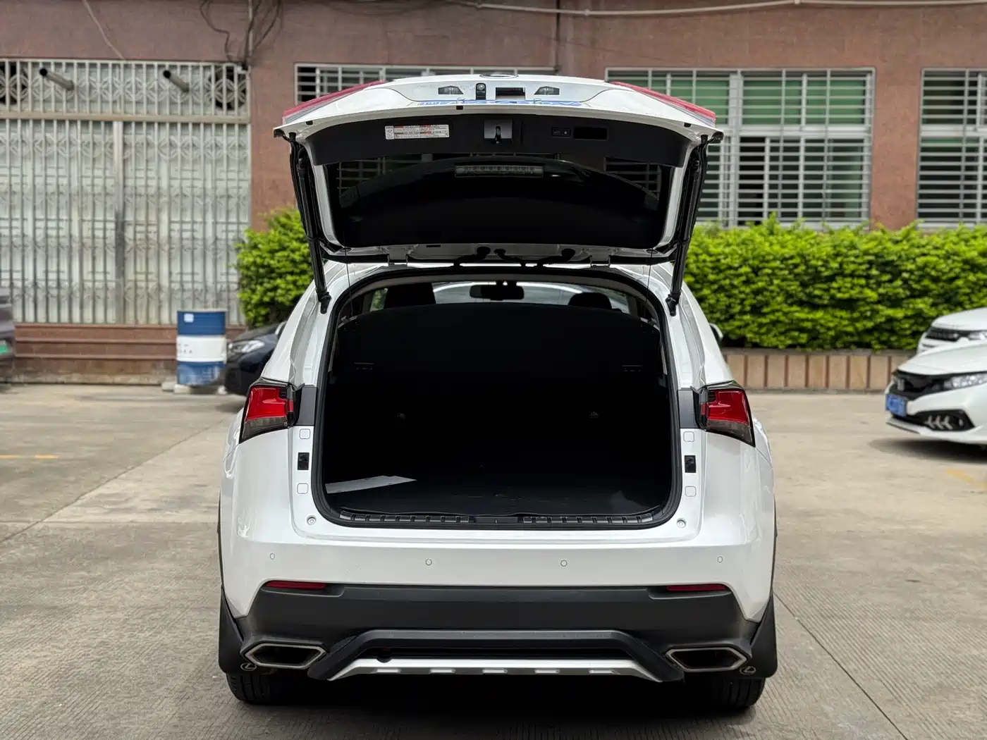Lexus NX 2018 Model 300 FWD Fengxing Edition фото 20