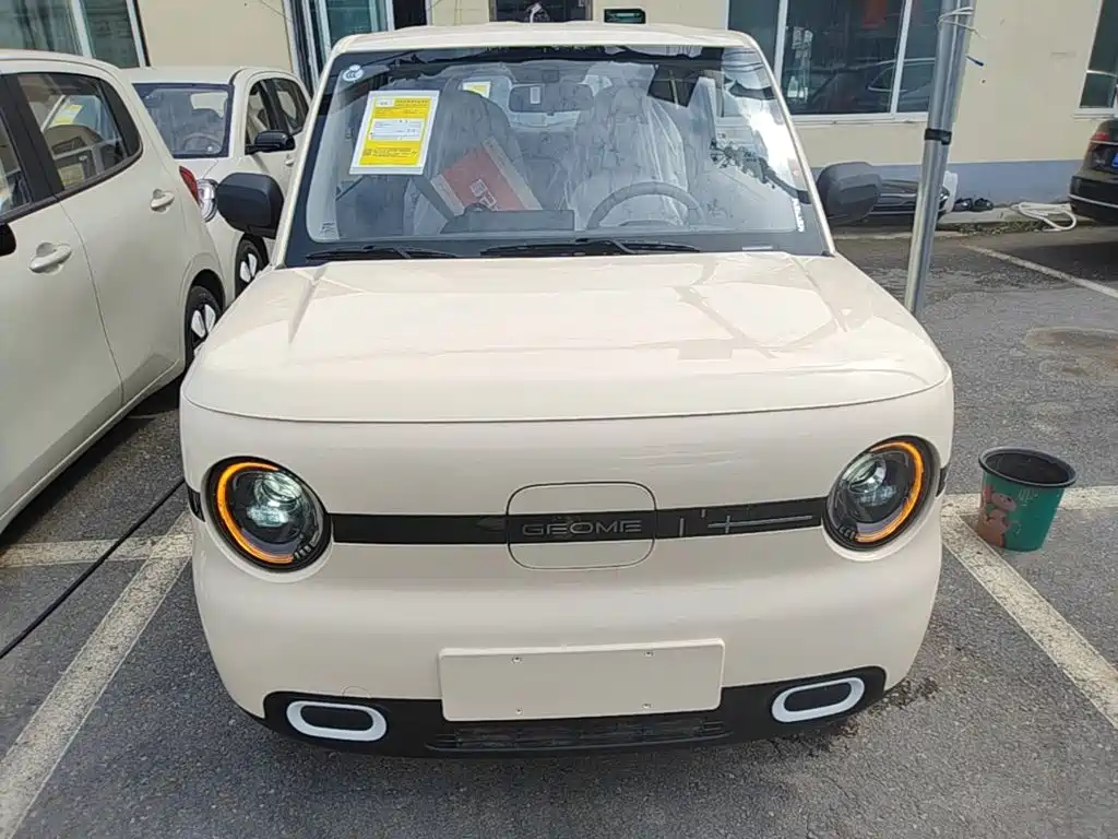 Geely Galaxy Panda 2026 2025 Panda mini 210km Vitality Bear