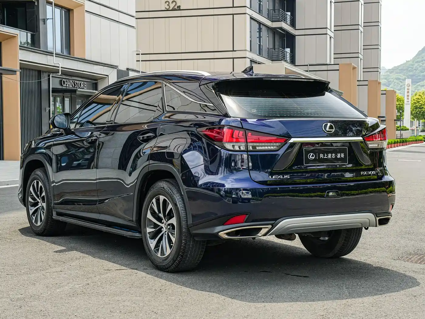 LEXUS RX