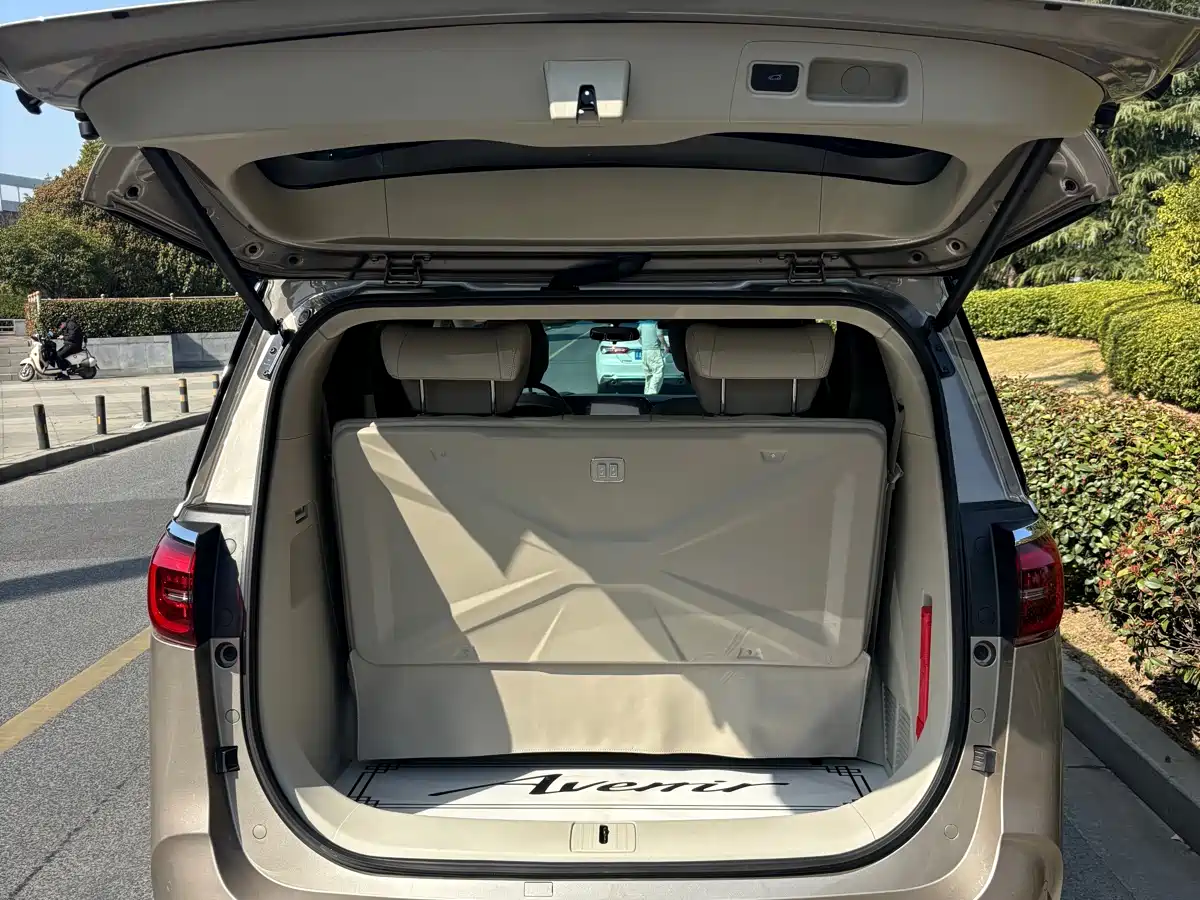 Buick GL8 2023 ES Landmaster Comfort фото 18