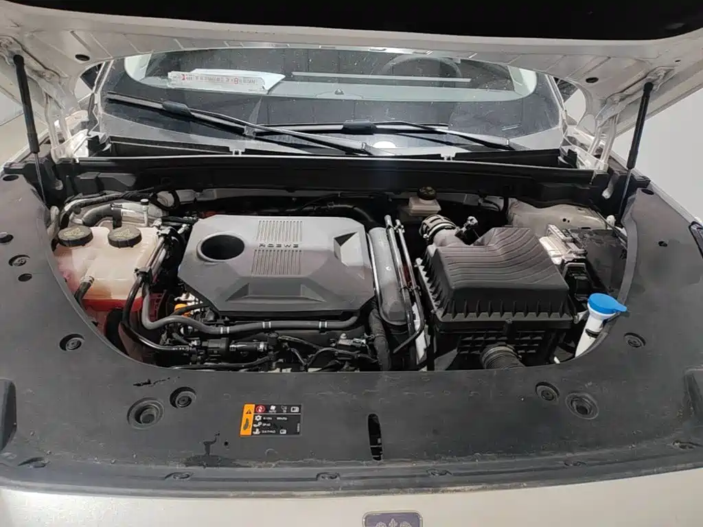 Roewe D5X DMH 2024 2024 135 Luxury Edition