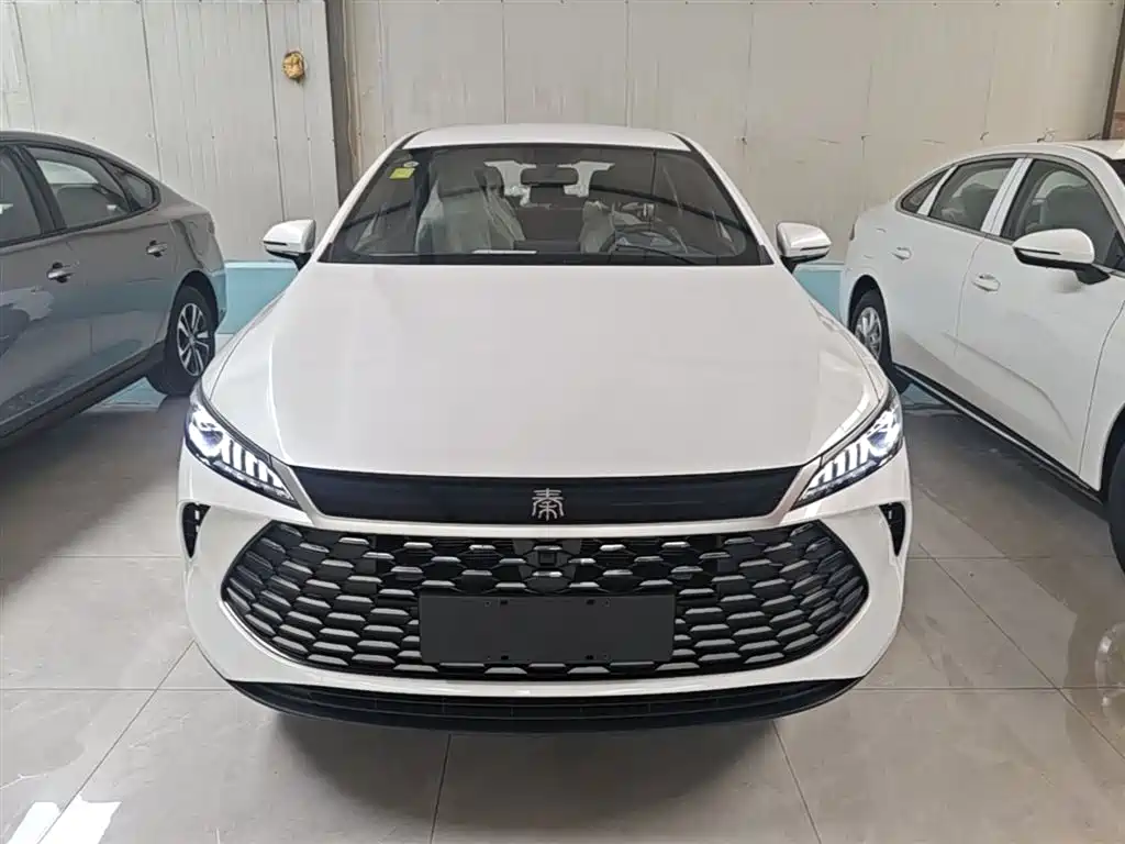 BYD Qin PLUS 2026 DM-i Smart Edition 128KM Progressive фото 3