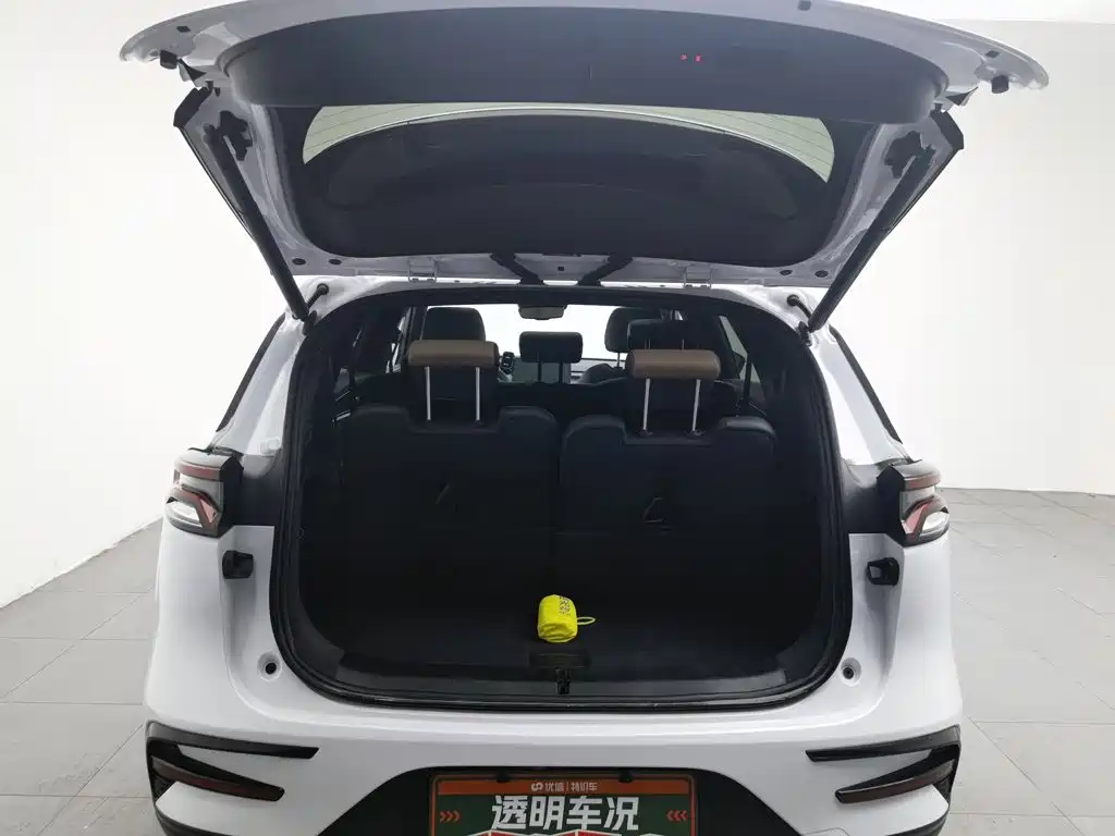 Фото 16 - BYD Tang New Energy