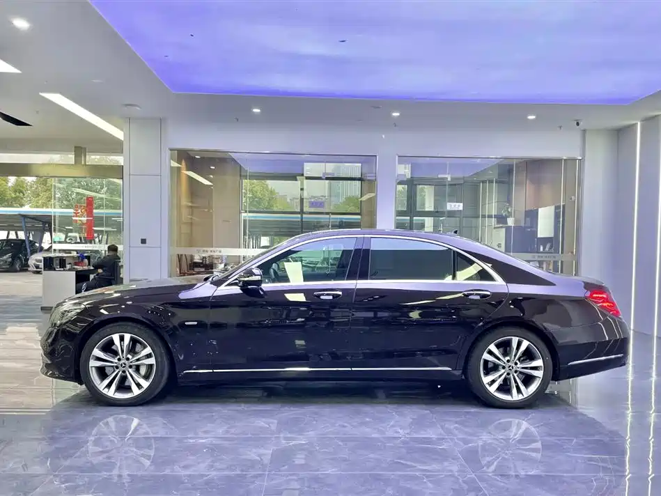 Mercedes-Benz S-Class 2020 S 350 L Premium Edition Collector's Version фото 3