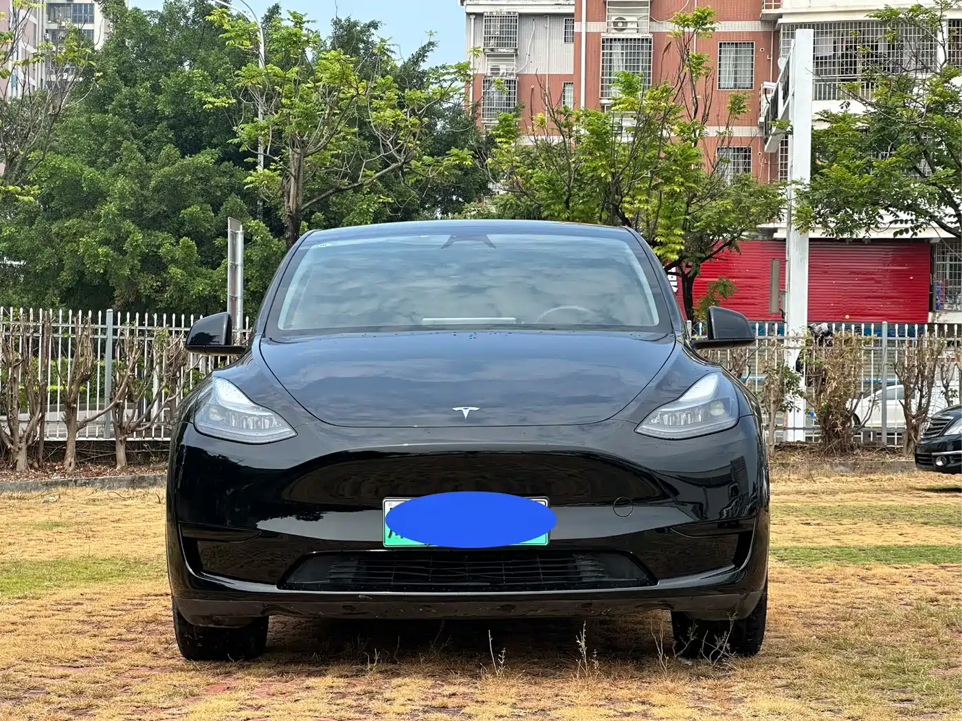 Фото 2 - Tesla Model Y