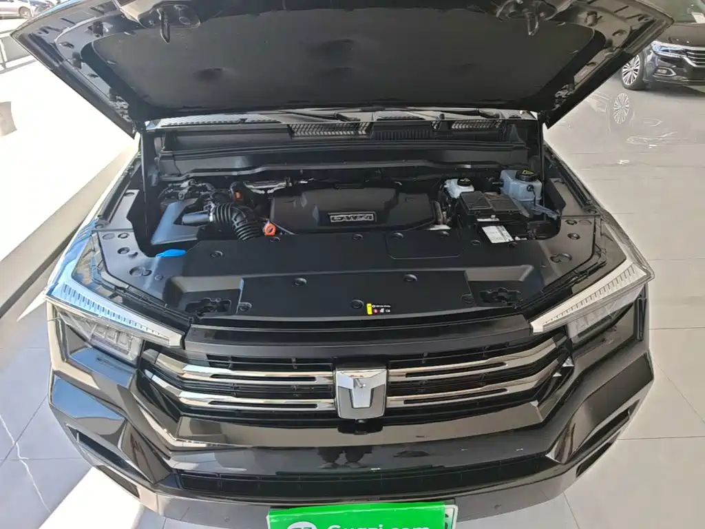 Tank 400 New Energy 2024 2024 Hi4-T Off-Road Edition