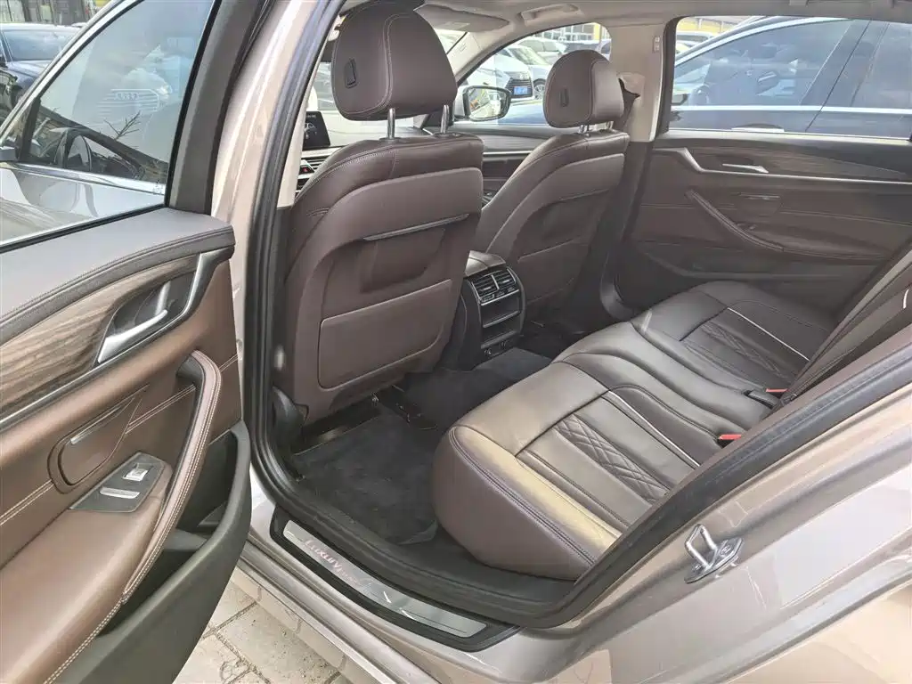 BMW 5 Series 2019 530Li Leading Luxury Package фото 15