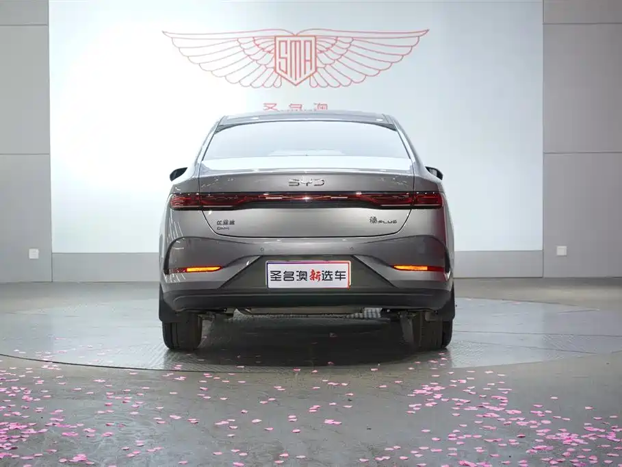 BYD Qin PLUS 2025 DM-i Smart Drive 55KM Leader фото 3