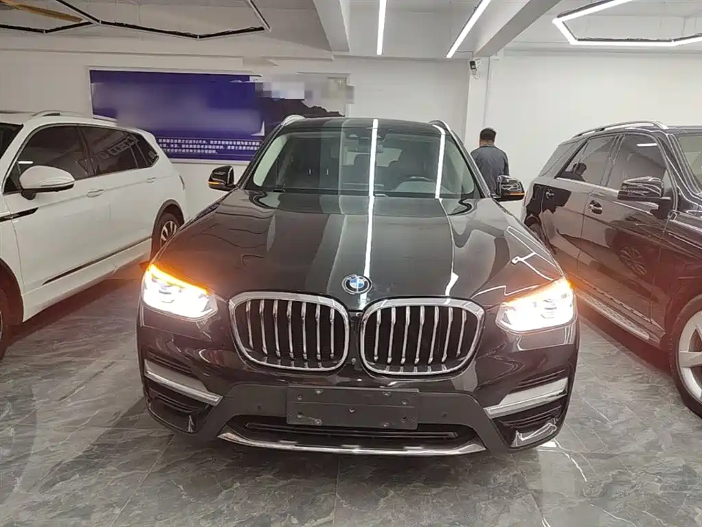 BMW X3 2019 xDrive25i Luxury Package фото 3