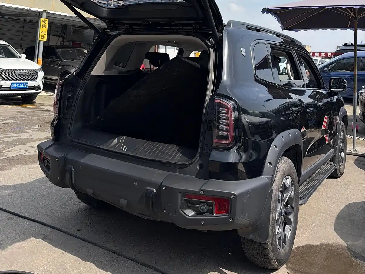 Haval Big Dog 2022 2.0T DCT AWD Chinese Pastoral Dog Edition фото 10