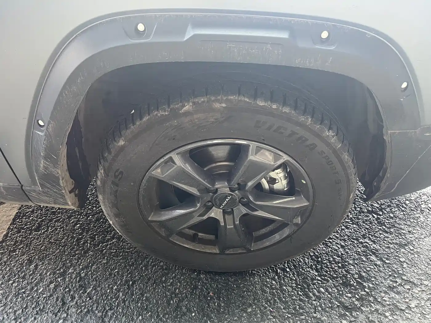 Haval Menglong 2025 2.0T 4WD Pro фото 4