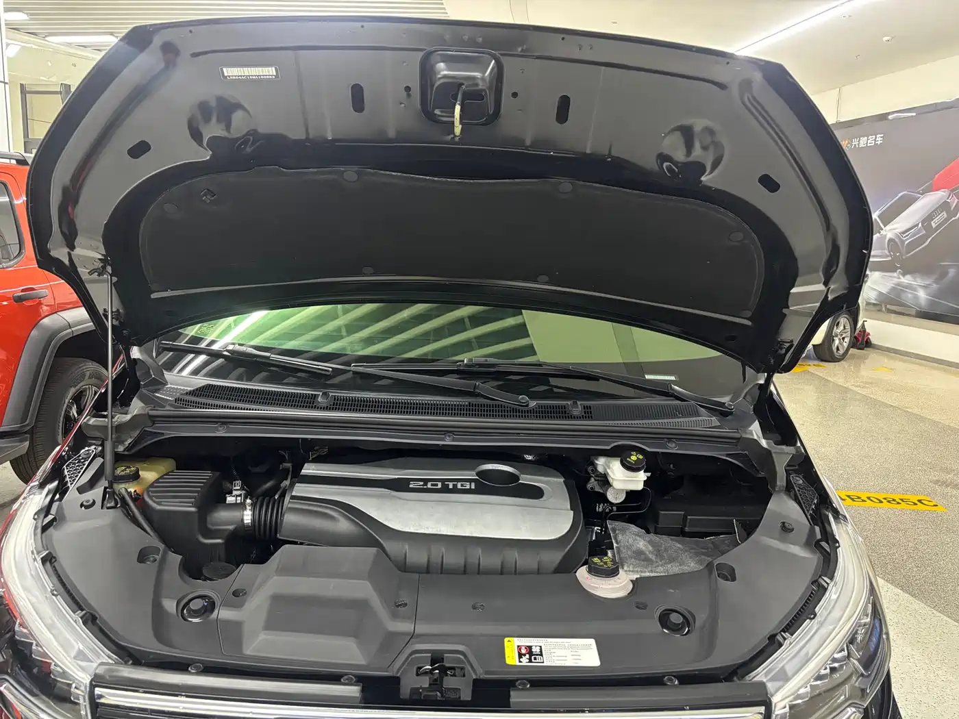 SAIC MAXUS CHASE G20