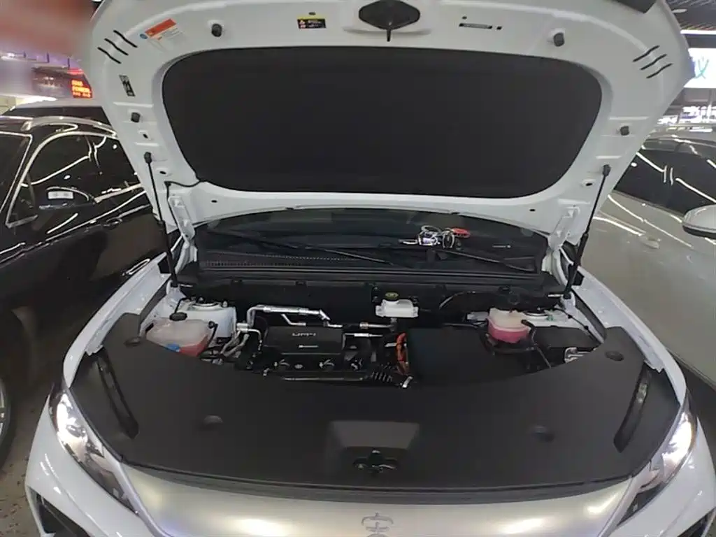 BYD Song Pro New Energy 2025 2nd Gen DM-i 115KM Excellence фото 20