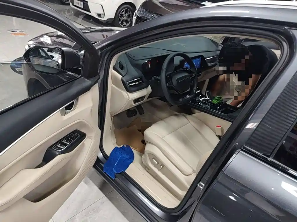 Wuling Motors Wuling Victory 2021 2020 1.5T CVT Flagship