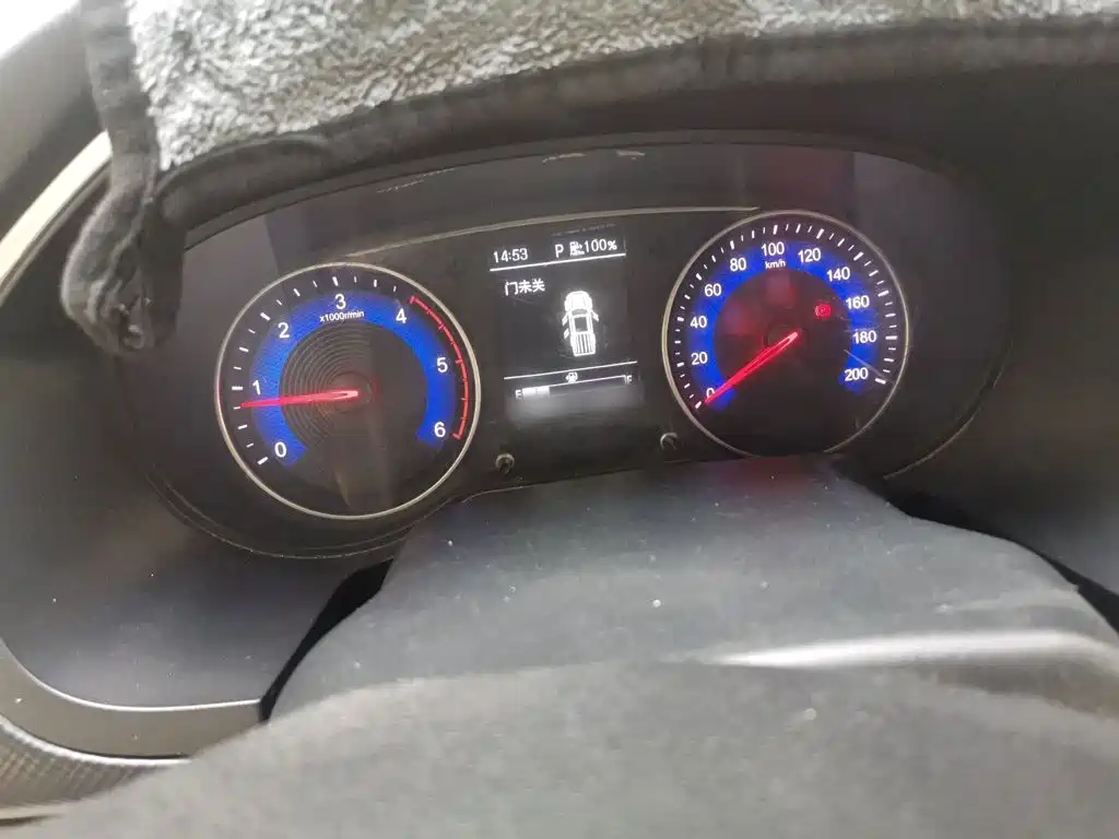 2024 Dongfeng Ruiqi