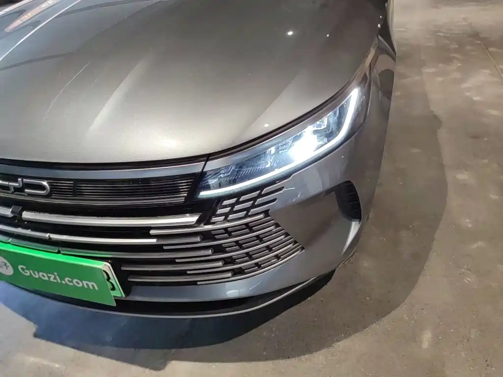 BYD Destroyer 05 2025 2024 Glory Edition DM-i 55KM Luxury